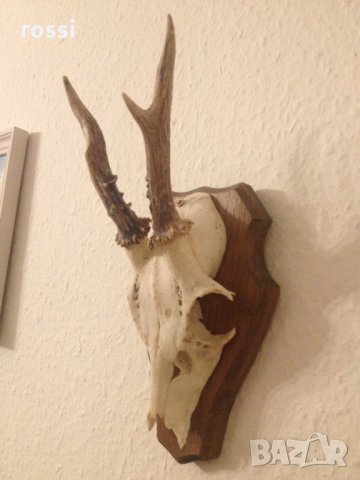 Немски трофей сръндак. Документ.