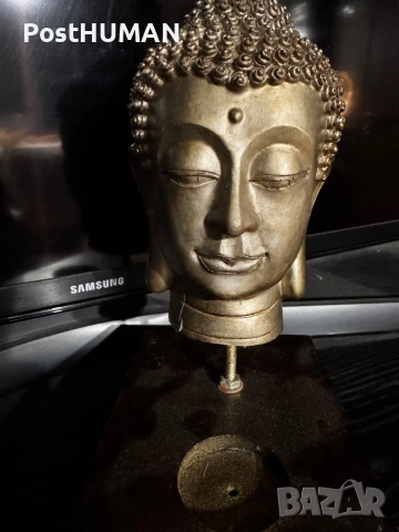 Африканска маска - Буда - Гаруда, снимка 4 - Антикварни и старинни предмети - 53295018