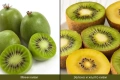 Киви 10 вида, снимка 3