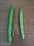 ВОБЛЕРИ MECHANIC, SEIKA, RAPALA, SAVAGE GEAR - PROMO , снимка 13