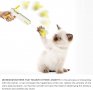 Интерактивна игра за котки- пистоет с топка и перо Qingquan, снимка 2