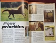 Илюстриран справочник - коне и понита / The Complete Guides to Horses and Ponies, снимка 6