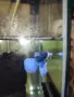Бети мъжки рибки , снимка 5