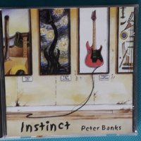 Peter Banks(Yes)(Jazz-Rock,Prog Rock)-3CD, снимка 5 - CD дискове - 44480385