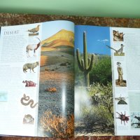 Животни. Animal: The Definitive Visual Guide, снимка 5 - Енциклопедии, справочници - 42162592