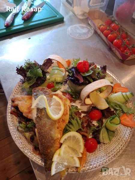 Търся си работа като Готвач , снимка 1