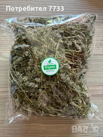 Диворастящи Билки и Сиропи, снимка 9 - Други - 54971883