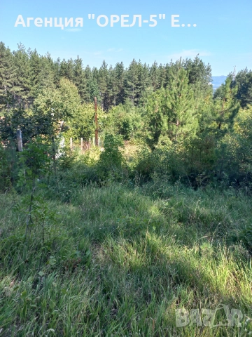 Продава два парцела гр.Перник,кв.Калкас, снимка 6 - Парцели - 51935117