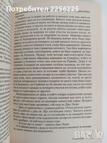 Сияйна зора, снимка 4 - Художествена литература - 52181324