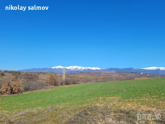 Нива  - м.Баларбаши,Благоевград, снимка 14 - Земеделска земя - 46945952