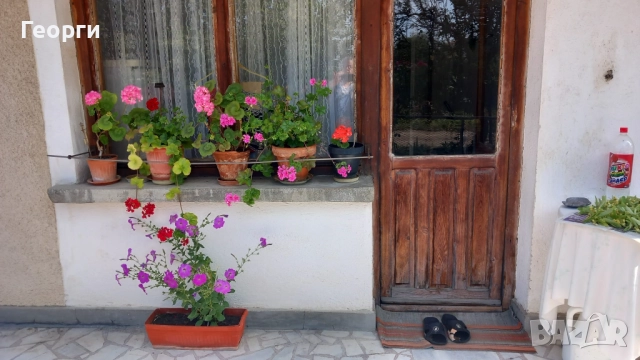 Продавам къща 94 кв.м в с. Ястребово с дворно 750кв.м., снимка 4 - Къщи - 51858475