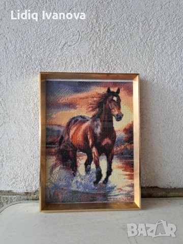 Диамантен гоблен кон-готов и рамкиран, снимка 3 - Гоблени - 51866436