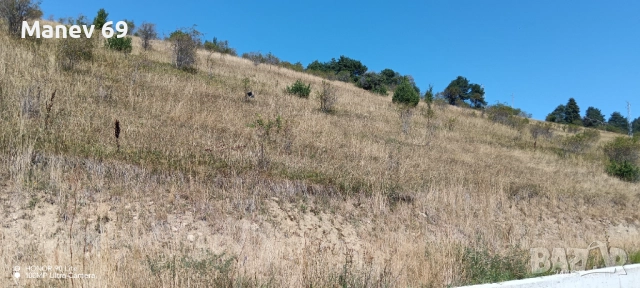 Продавам парцел на язовир Доспат - първа линия.🌟, снимка 6 - Земеделска земя - 44435309