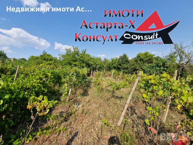 Астарта-Х Консулт продава парцел в гр.Димитровград , снимка 3 - Парцели - 42163738