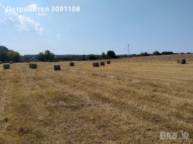 продавам бали сено, снимка 2 - За селскостопански - 56162277