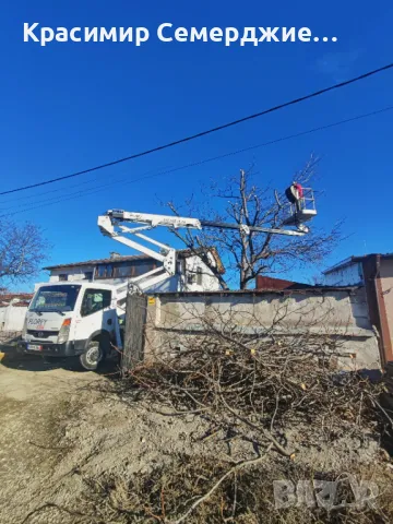Рязане, кастрене и премахване на опасни и високи дървета в Пловдив и околността, снимка 3 - Други услуги - 48948548