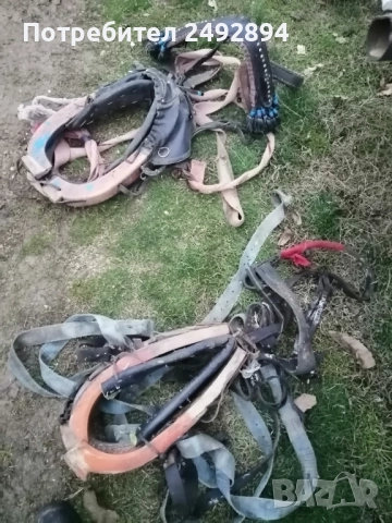Конски хамут , снимка 2 - Други животни - 52506534