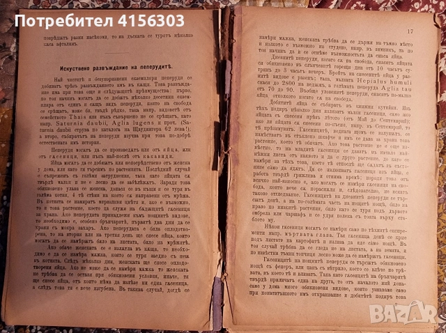 Пеперуди + Наставления за уредбата и гледането на училищните градини. 1896. , снимка 5 - Градински цветя и растения - 53784348