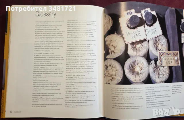 The New Italy. A Complete Guide to Contemporary Italian Wine, снимка 14 - Кулинария - 55817326
