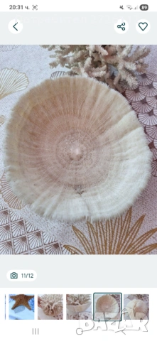 Морски артикули декорация , снимка 11 - Други - 53250087