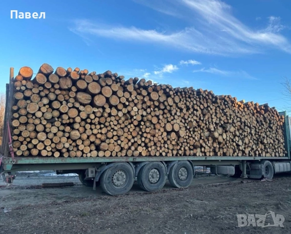 ДЪРВА ЗА ОГРЕВ, снимка 3 - Дърва за огрев - 52238821