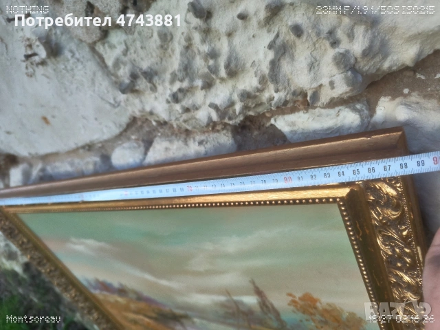 Картина , снимка 5 - Картини - 53663746