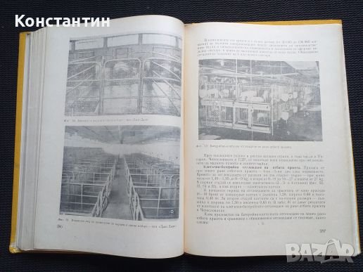 Свиневъдство , снимка 3 - Специализирана литература - 40822085