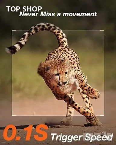 Нова соларна Ловна камера Водоустойчива за лов наблюдение диви животни, снимка 5 - Камери - 49804790