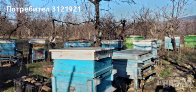 Земеделска земя за продажба в района на с.Беласица , снимка 8 - Земеделска земя - 39577960