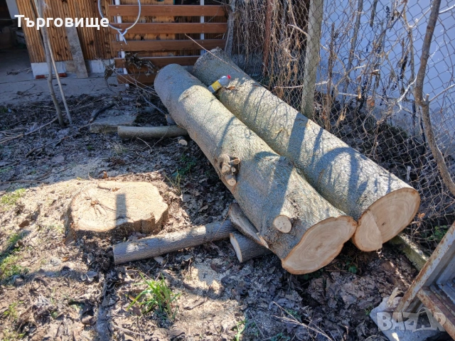 Трупи Пауловния , снимка 2 - Строителни материали - 53807217