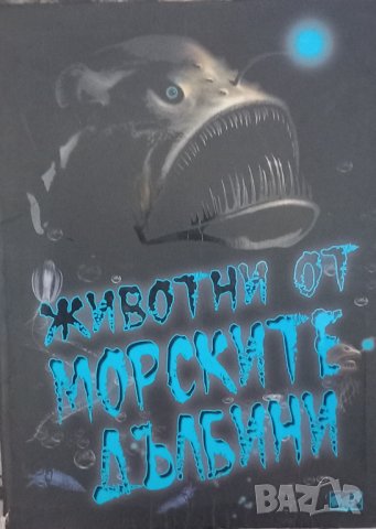 Енциклопедии , снимка 6 - Детски книжки - 42216032