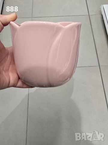 саксии кашпи лале