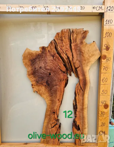 Шайби от маслиново дърво Янове от маслина, снимка 2 - Маси - 37406478