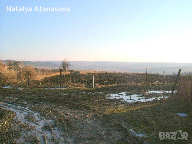 Превъзходен голям парцел от селска земя в регулация в Златия, снимка 3 - Парцели - 53635253