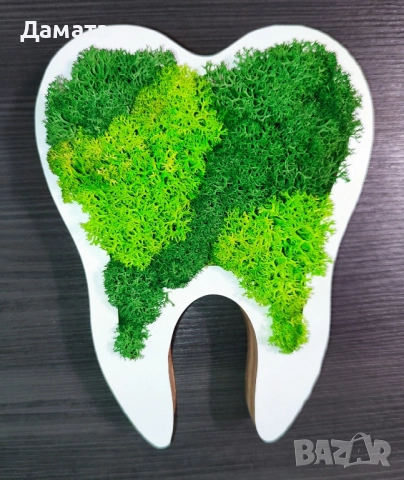 Различни видове кашпи със скандинавски мъх , снимка 16 - Декорация за дома - 45370583