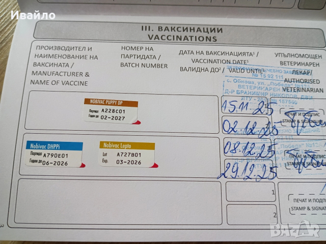 Продавам , снимка 2 - Курцхаар - 52690625