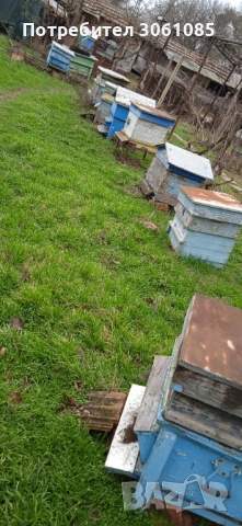 центрофуга за мед, снимка 5 - За пчели - 53657037