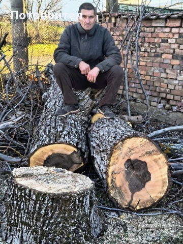 рязане на дърва за огрев и кастрене на дървета, снимка 7 - Други услуги - 51897190