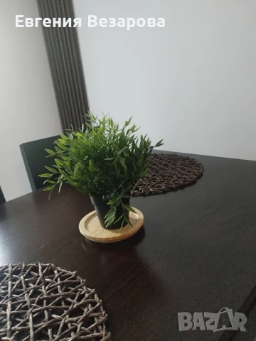 Студио Snow day под наем в Green life, Банско, снимка 16 - На зимен курорт - 37125910