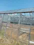 Изкупуване на метални тръби и стъклена оранжерия , снимка 1