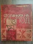 Стопанката на господ - Розмари Де Мео, снимка 1