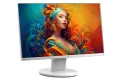 Промо: Професионален Монитор EIZO FlexScan EV2450 24" IPS/FHD, снимка 2