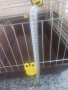 Голяма клетка за заек,морско свинче, снимка 6