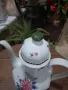 Баварски чайник , снимка 4