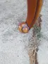 Винтидж масички масив, снимка 10
