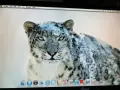 Apple Mac mini (Модел A1176 / Macmini1,1, снимка 10