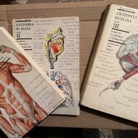 ANATOMIA HUMANA TOMO I, II, III, снимка 1 - Специализирана литература - 40371055