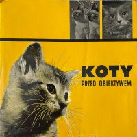 "Koty przed obiektywem"- Котки пред обектива на полски, снимка 1 - Специализирана литература - 41653026