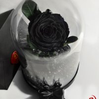 Луксозен Подарък за Жена / Естествена Вечна Черна Роза в Стъкленица / Стилен Подарък за Рожден Ден, снимка 9 - Други - 34470601