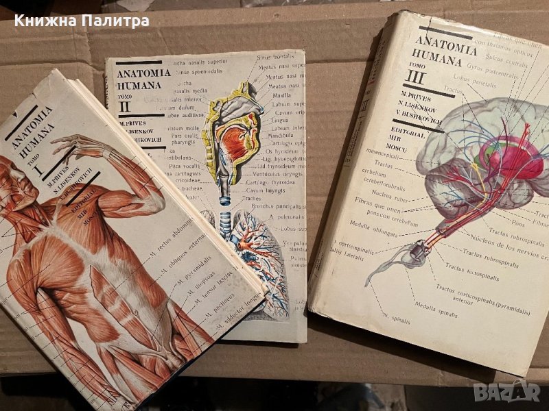 ANATOMIA HUMANA TOMO I, II, III, снимка 1